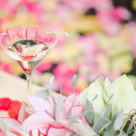 Popart Insolite Jacuzzi,sauna & Parking Free Lägenhet